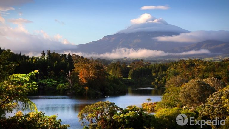 Taranaki City Video Guide | Expedia