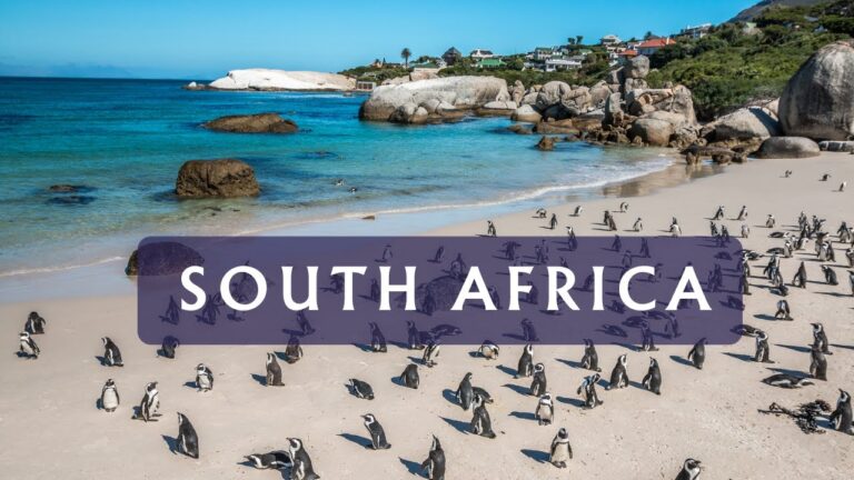 Discovering South Africa : A Journey through Nature, Culture, and Incredible Adventures