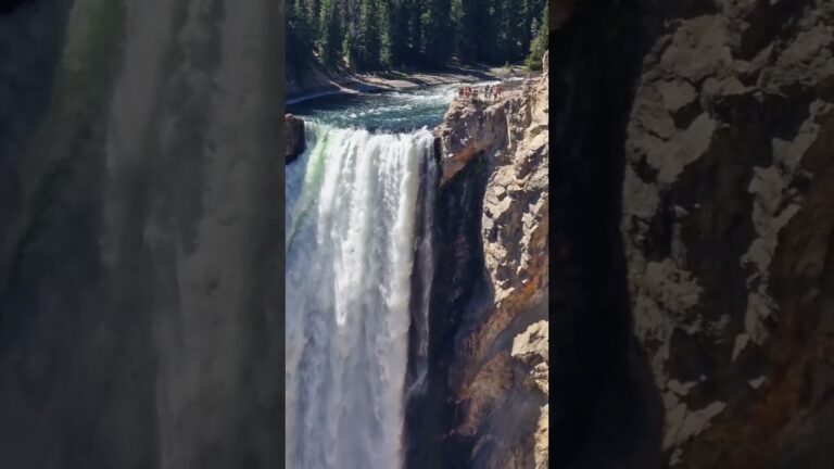 Lower Falls cascada más alta de Yellowstone