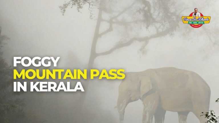 Foggy Mountain Pass in Kerala #ThamarasseryGhat #KeralaTravel #FoggyDrive