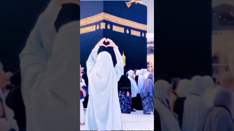 #mt maliktanveer #live #madina #kabbah #travel #naat #newnaat #viral #trending #reels #vlogs #video