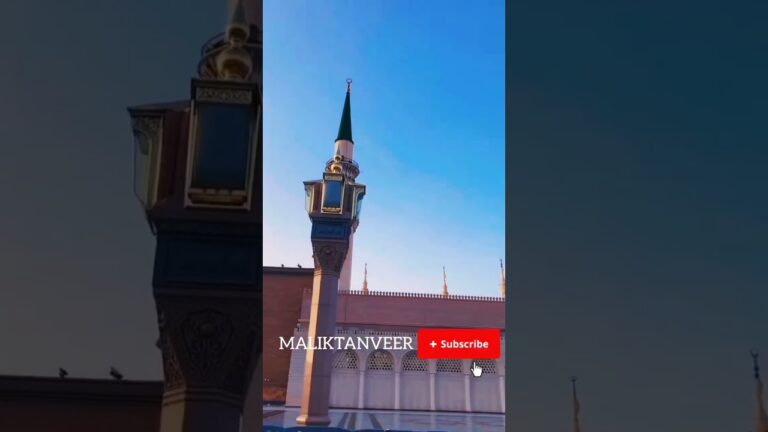 #maliktanveer #live #madina #newnaat2024 #travel #live #naat #viral #trending #reel #vlog #video