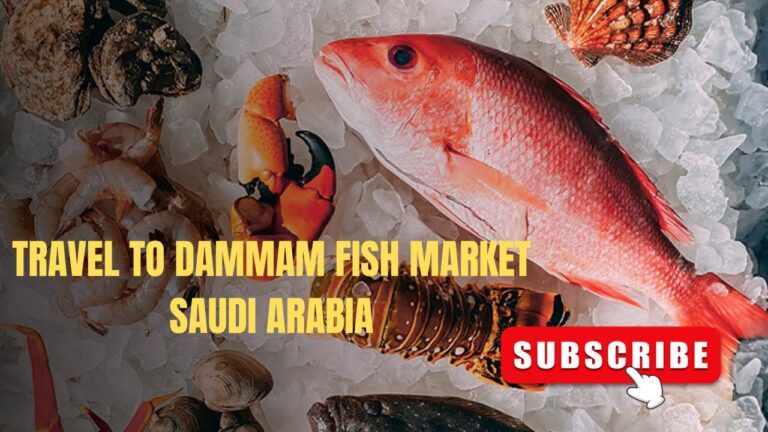 Travel to Dammam Fish Market Saudi Arabia | Fresh  Seafoods | Affordable Price | Clean Market