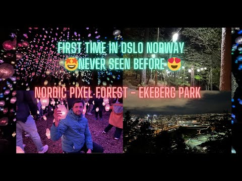 Must visit | Nordic Pixel Forest by Pipilotti Rist at Ekebergparken Oslo Norway | Fantastic artwork