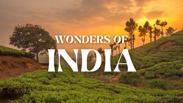 The Ultimate India Travel Experience | Complete Travel Guide