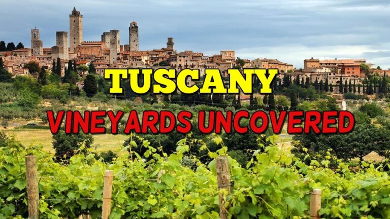 Tuscany Vineyards Uncovered