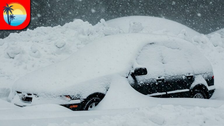 Winter Storm Driving in The Greater Toronto Area (Day 2)