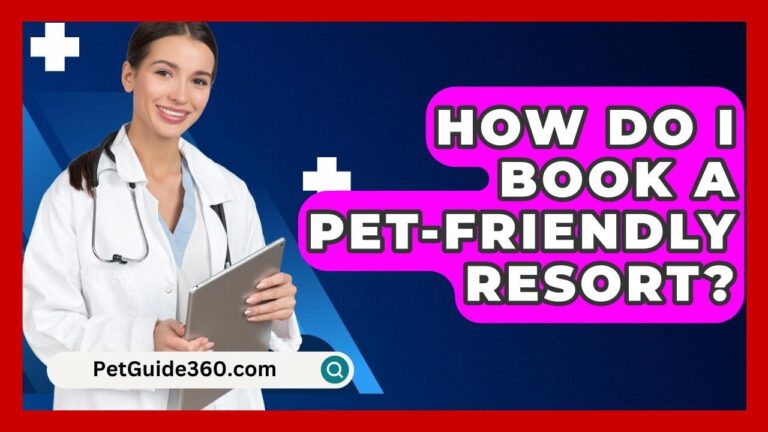 How Do I Book A Pet-friendly Resort? – PetGuide360.com